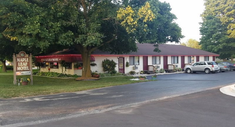 Maple Leaf Motel - Vintage Postcard